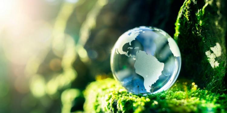 Intervista a Virginio Carnevali, past President di Transparency International