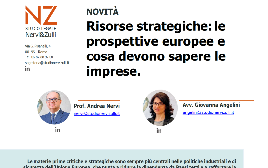 Risorse strategiche: le prospettive europee e cosa devono sapere le imprese.